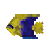 creature-fish-reef-angel-bicolor-adult-female