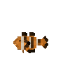 creature-fish-reef-clown-common-adult-female
