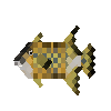 creature-fish-reef-trigger-titan-adult-female