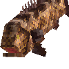 creature-fish-saltwater-grouper-black-adult-male