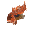 creature-fish-saltwater-gurnard-cape-adult-male