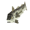 creature-fish-saltwater-haddock-common-adult-male
