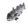 creature-fish-saltwater-hake-silver-adult-male