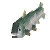 creature-fish-saltwater-salmon-pink-adult-male