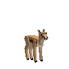 creature-gazelle-calf