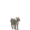 creature-goat-angora-male-baby