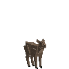 creature-goat-ibexalp-male-baby