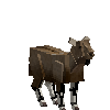 creature-goat-ibexnub-adult-female
