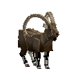 creature-goat-ibexnub-adult-male
