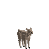 creature-goat-ibexnub-male-baby