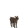creature-goat-markhor-female-baby