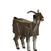 creature-goat-nubian-adult-male
