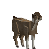 creature-goat-nubian-male-adult