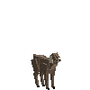 creature-goat-sirohi-baby-male
