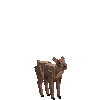 creature-goat-turdag-female-baby