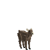 creature-goat-valais-baby-male