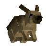 creature-hare-female-desert