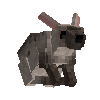 creature-hare-scrub-adult-female