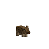 creature-pig-eurasian-baby-female
