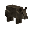 creature-pig-wild-male