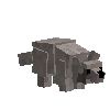 creature-raccoon-pup