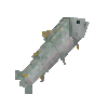 creature-salmon