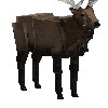 creature-tameddeer-elk-male-adult