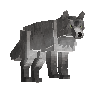 creature-wolf-eurasian-adult-male