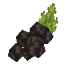 fruit-blackcurrant