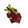fruit-cranberry