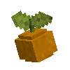 fruit-orange