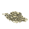 grain-rice