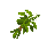 herbbundle-basil