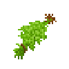 herbbundle-cilantro
