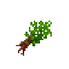 herbbundle-marjoram
