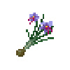 herbbundle-saffron