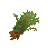 herbbundle-thyme
