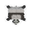 hide-oiled-bear-panda-complete