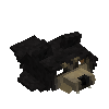 hide-pelt-bear-black-head