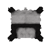 hide-pelt-bear-panda-body