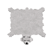 hide-pelt-bear-polar-complete