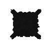 hide-pelt-bear-sun-body