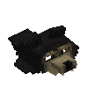 hide-pelt-bear-sun-head