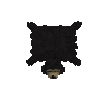 hide-raw-bear-sun-complete