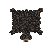 hide-salted-bear-black-complete