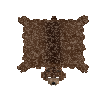 hide-salted-bear-brown-complete