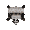 hide-salted-bear-panda-complete