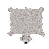 hide-salted-bear-polar-complete