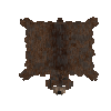 hide-soaked-bear-brown-complete