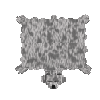 hide-soaked-bear-polar-complete
